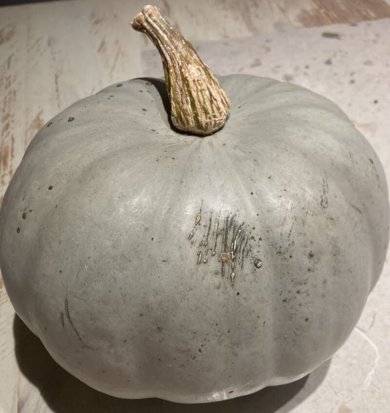 Kabocha